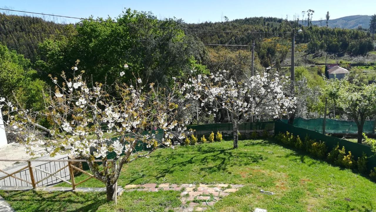 A Quinta Da Colina Villa Castanheira de Pera Dış mekan fotoğraf